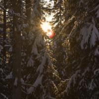 Winterimpression in Karelien