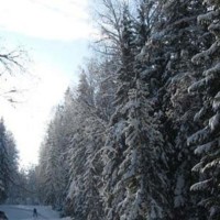 Naturerleben im winterlichen Karelien