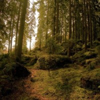 karjalatravel